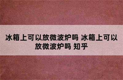 冰箱上可以放微波炉吗 冰箱上可以放微波炉吗 知乎